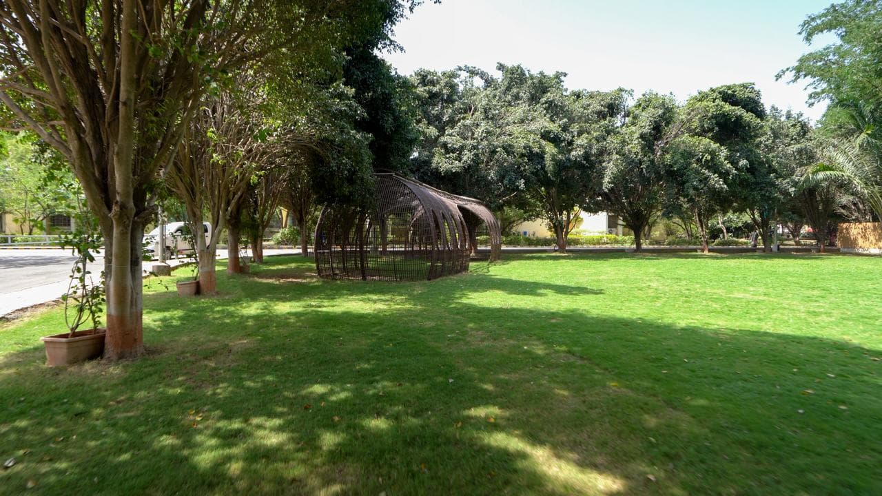 Ajeenkya DY Patil University College Images photo 10